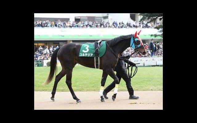 京都の重賞は大荒れ中。きさらぎ賞も「パワー型」３頭が高配当を生む