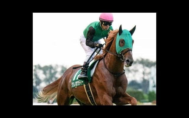 東京新聞杯は上がり馬２頭が強力も、穴馬として要注目の１頭がいる