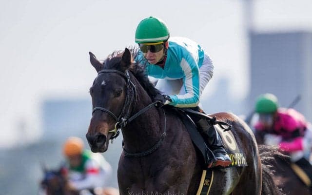 【エルフィンS】デアリングタクトが大外一気で差し切る！デビュー2連勝