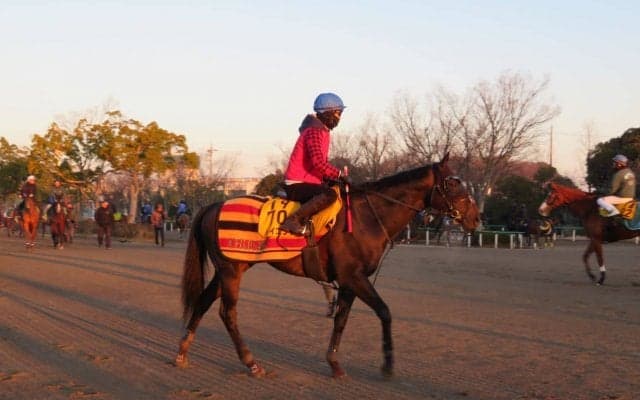 【東京新聞杯】レイエンダ 藤沢師「体は10キロくらい増えている」