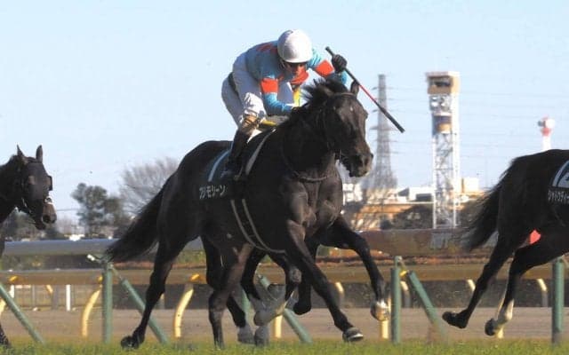 【東京新聞杯】プリモシーンが混戦に断！馬場の真ん中から突き抜ける