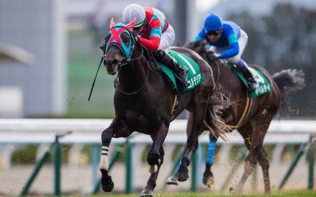 【きさらぎ賞】7番人気コルテジアが重賞初制覇！