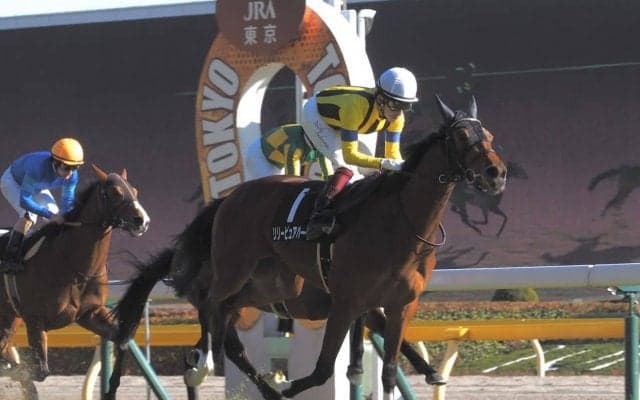 【ゆりかもめ賞】良血リリーピュアハートが連勝で2勝目！