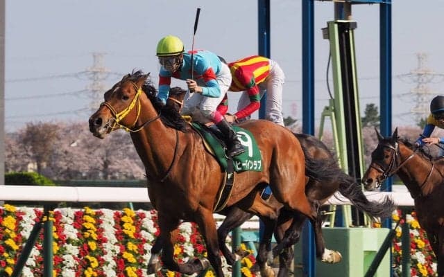 ヒーズインラブ号が競走馬登録抹消