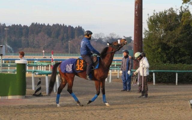 【クイーンC】マジックキャッスル 国枝師「東京コース合いそう」