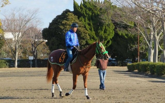 【クイーンC】ホウオウピースフル 大竹師「当日のテンションがカギ」