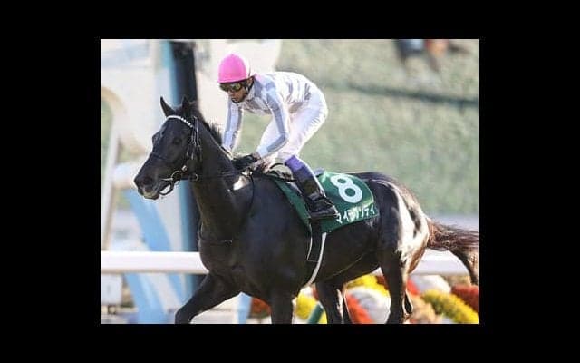 共同通信杯は、強烈な末脚を秘める「いぶし銀」２頭がアッと言わす