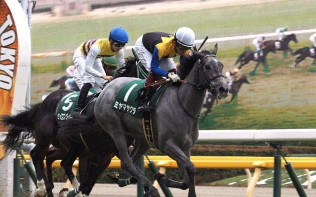 【クイーンC】ミヤマザクラが抜け出して重賞初制覇！