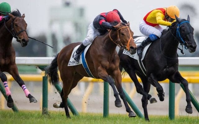 【新馬/東京6R】ディープ産駒 ロッタチャンセズがデビューV！