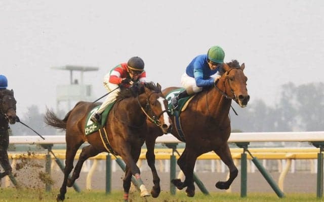 【共同通信杯】ダーリントンホールが重賞初制覇！マイラプソディは4着敗退