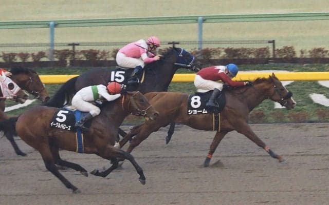 【バレンタインS】4番人気ショームが差し切りV！オープン初勝利