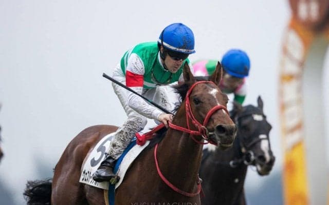 【東京6R】ヴェスターヴァルトが2勝目を飾る