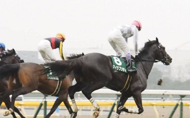 【共同通信杯】武豊「競馬は難しい」レース後ジョッキーコメント