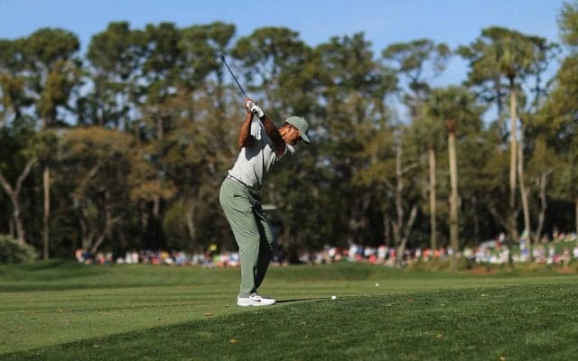 PGAツアーでよく見る冬でも綺麗な緑色の秘密・寒さに強い芝「ライグラス」とは