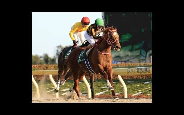 フェブラリーＳで「二刀流」ＧＩ馬へ。モズアスコットの真価が問われる