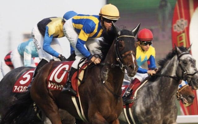 ルックトゥワイス号が競走馬登録抹消