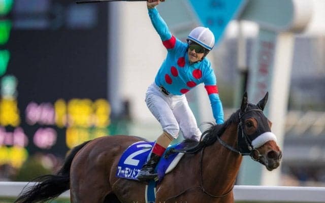 2020ドバイワールドカップデー JRA所属馬の選出および受諾