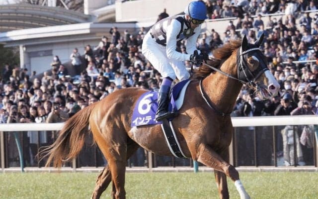 武豊騎手 今週の騎乗馬