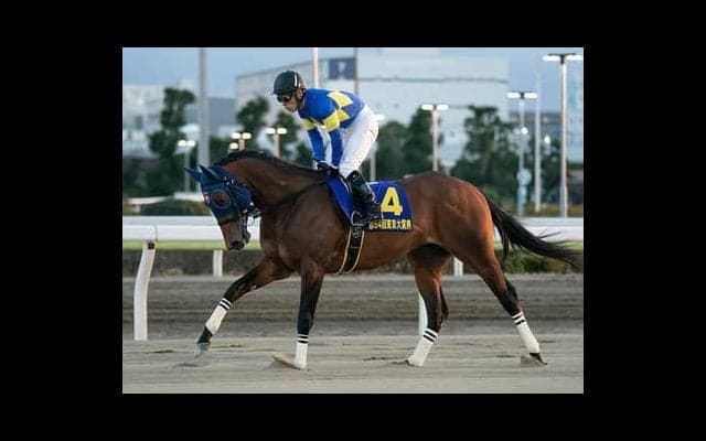フェブラリーＳは「手薄」なメンバー。ならば地方馬にもチャンスあり