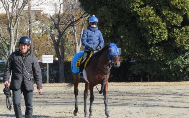 【ダイヤモンドS】オセアグレイト 得意の東京で重賞初制覇のチャンス