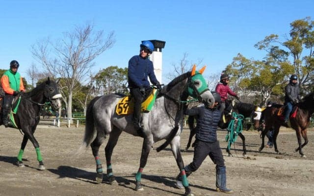 【ダイヤモンドS】バレリオ 相沢師「重賞でも通用する」