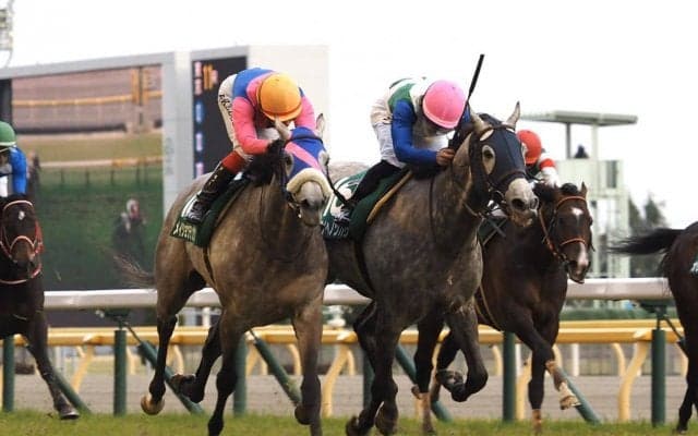 【ダイヤモンドS】超大穴飛び出す！単勝3万越え ミライヘノツバサが大接戦を制する