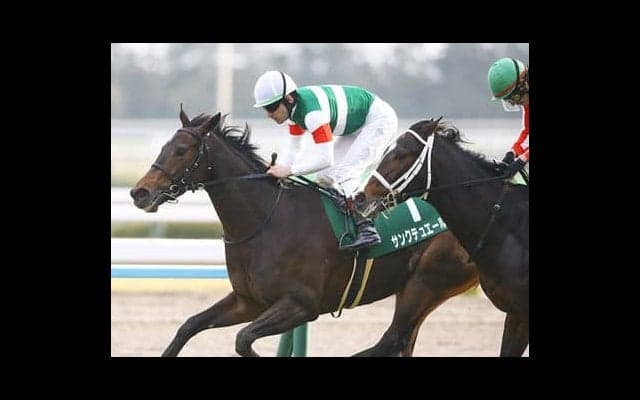 サンクテュエール、牝馬三冠なるか注目。「理想的な成長」を遂げている