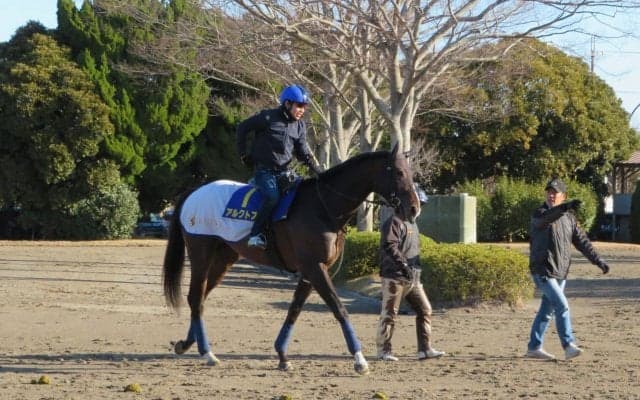 【フェブラリーS】アルクトス 得意の東京でタイトル狙う