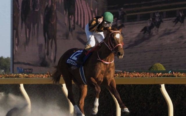 【フェブラリーS】二刀流モズアスコットが芝ダートでG1制覇！