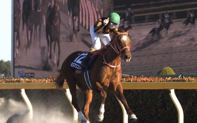 【フェブラリーS】二刀流モズアスコットが勝利！売り上げ入場人員共にダウン