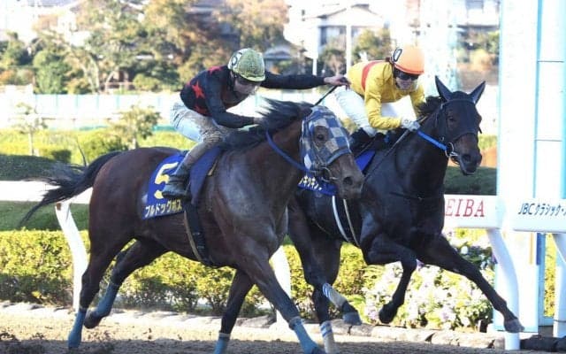 ブルドッグボス号が競走馬登録抹消