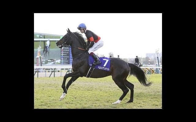 中山記念は無観客開催で波乱要素増。人気薄の２頭が思わぬ結末を呼ぶ