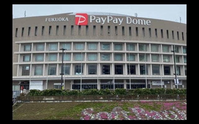 無人のスタンドに響く音と声…　無観客試合で感じるファンの大事さと“球音”への発見