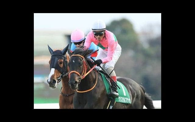 クリスタルブラック、古馬相手にも劣らぬ末脚がクラシックでも炸裂か