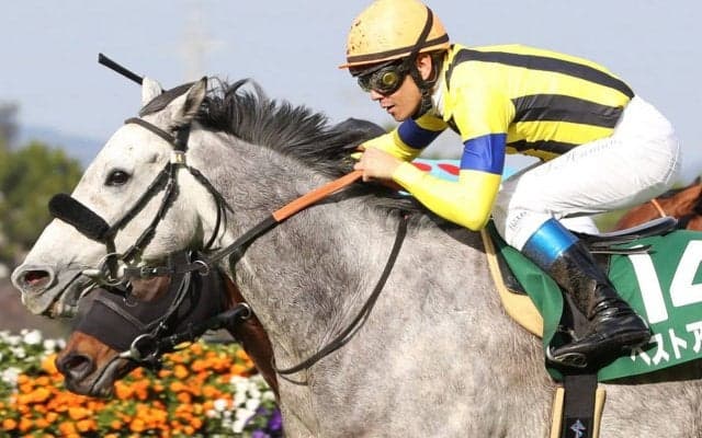 【阪急杯】浜中俊「理想的なポジショニング出来た」ベストアクターが重賞初制覇！