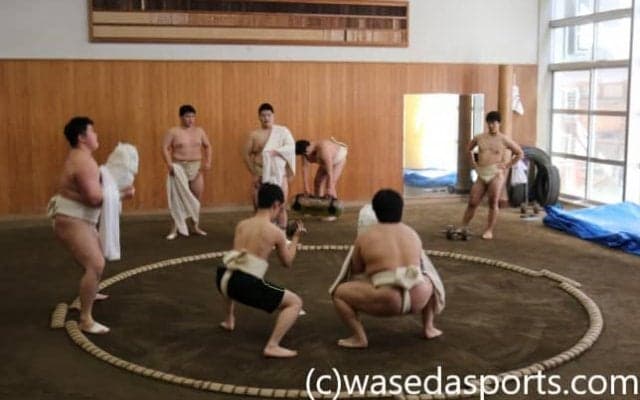 記者が相撲部の稽古に参加！早大相撲部強さの秘訣を探る
