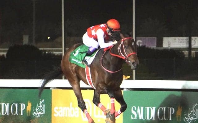 2020サウジカップ開催出走日本馬がドバイに到着