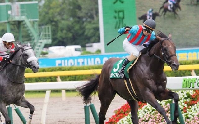 マルターズアポジー号が競走馬登録抹消