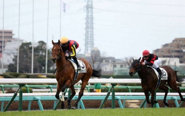 【中山5R】圧倒的人気のクロミナンスが初勝利