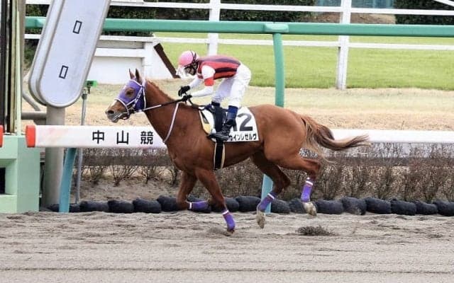 【新馬/中山4R】ウインレゼルヴがデビューV！
