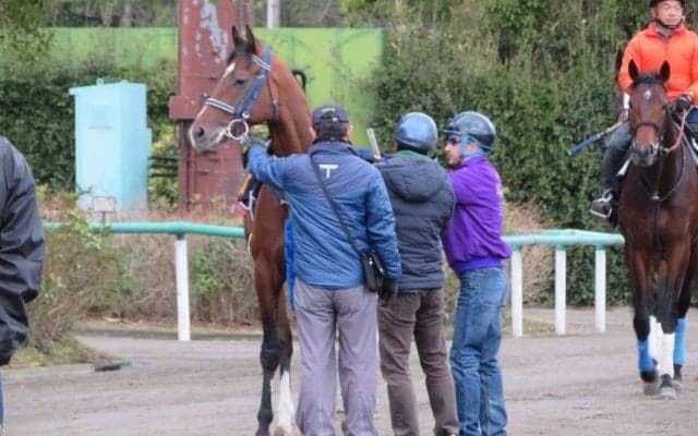 【弥生賞】ワーケア 手塚師「前走は消化不良」