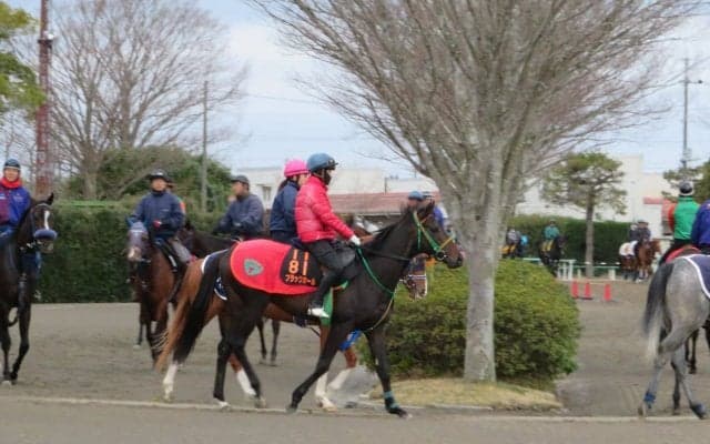 【弥生賞】ブラックホール 相沢師「いい動き」