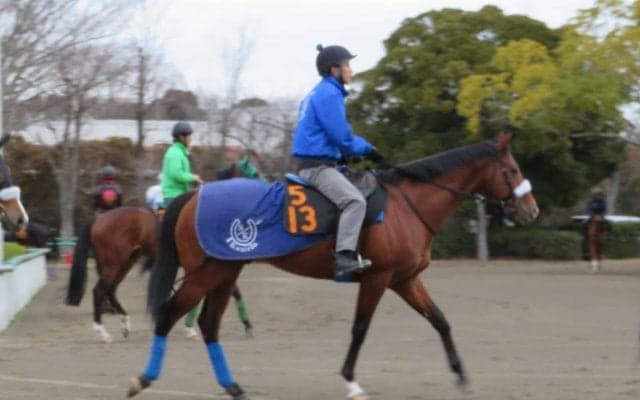 【弥生賞】サトノフラッグ メンバー唯一のディープ産駒で注目