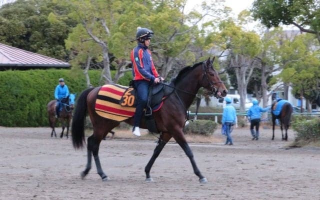 【弥生賞】オーソリティ ヒューイットソンと新コンビ