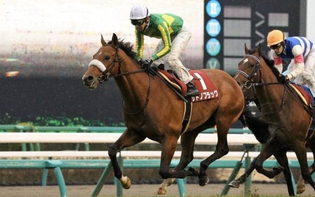 【弥生賞】武豊騎乗 サトノフラッグが重賞初制覇！