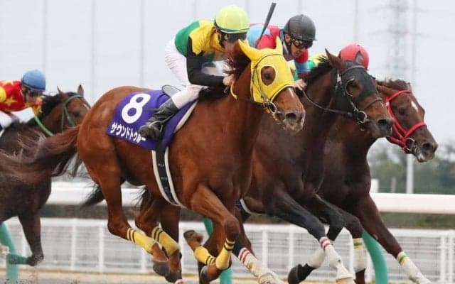 【ダイオライト記念】枠順と見どころ ウェスタールンドなど14頭