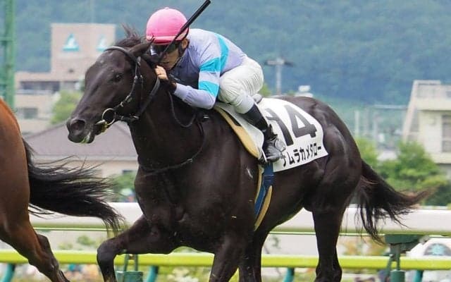 【名古屋大賞典】枠順と見どころ ナムラカメタローなど