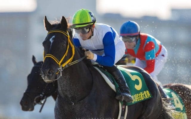 【名古屋大賞典】ロードゴラッソが重賞2勝目