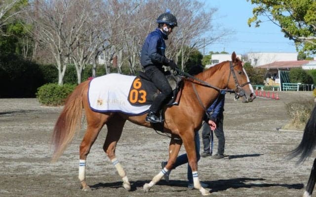【ファルコンS】シャインガーネット 栗田師「中京コースは合っている」
