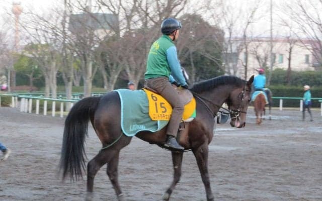 【中山牝馬S】コントラチェック 中山は大得意